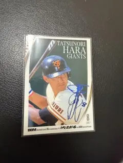 Item thumbnail for item d2fadaf9-1187-450c-8877-8600eb78673f