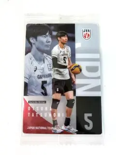 大塚達宣 バレーボール 日本代表 トレーディングカード