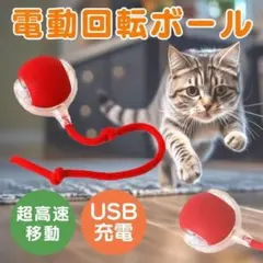 猫 犬 おもちゃ 電動 自動 ボール 猫じゃらし USB充電 光る ネコじゃらしのサムネイル
