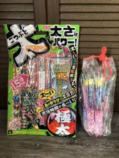 手持ち花火 長く遊べるキングサイズ 大・中サイズ セット