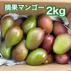 沖縄県産 摘果マンゴー箱なし1.4kg｜100〜300g 青マンゴー - メルカリ