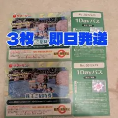 東京サマーランド チケット ワンディパス 1Dayパス 夏季利用可能 4名分