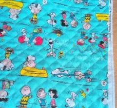 Item thumbnail for item 36dfee49-ac4c-47a9-8bb9-9508cb5943e0