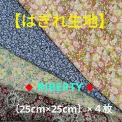 Item thumbnail for item 826c58c3-bf70-42d3-8b77-af75ac33e1ca