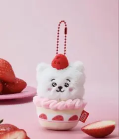 BT21 タルトぬいぐるみキーリング STRAWBERRY PARTY RJ