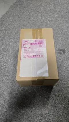 ポケモンセンターヒロシマ　スペシャルBOX　未開封シュリンク付き