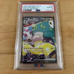 2025年最新】ナンジャモsar psa10の人気アイテム - メルカリ