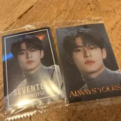 SEVENTEEN MINGYU ウエハース　シール