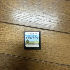 歩いてわかる生活のリズムDS