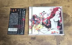 【希少】メイビーシーウィル　ノット・フォー・ウォント・オブ・トライング　CD