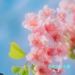 【さやちゃん様専用】