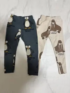 ZARA レギンス　保育園着　ペンギン　セイウチ 動物柄　2枚セット