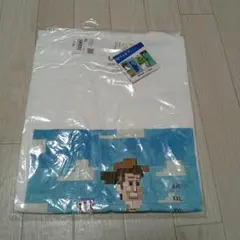 Item thumbnail for item 7e7ac2de-0c1b-4375-9753-86ce55f3ebfb