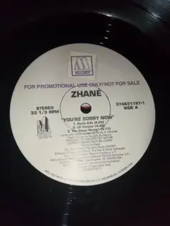 zhane you're sorry now 1994usプロモオンリー