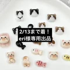 2/13まで着！eri様専用出品