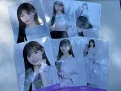 乃木坂46 生写真 川﨑桜 北海道Tシャツ 北海道ver.コーデ 6種コンプ