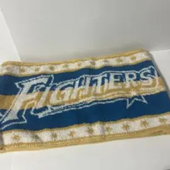 ニッポンハム ホームランソーセージ 日本ハムファイターズ 菅野光夫
