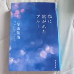 恋に焦がれたブルー 宇山佳佑