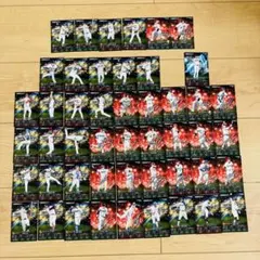 プロ野球トレーディングカード48枚セット