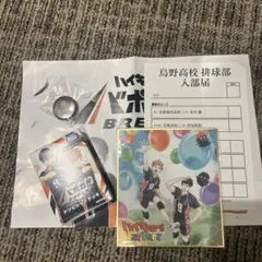 ハイキューファンパーク　入場者限定