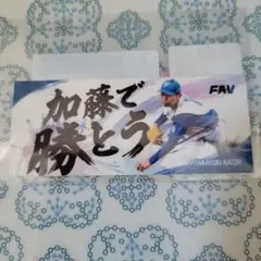 FAV限定　ステッカー　加藤貴之