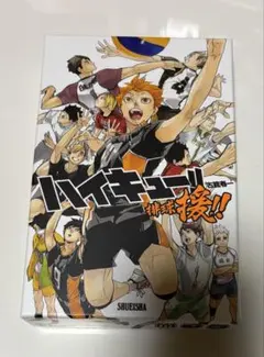 ハイキュー!! 排球援!!