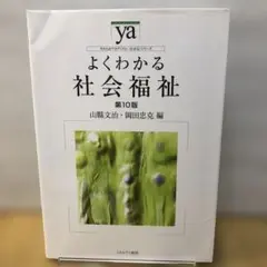よくわかる社会福祉　第10版