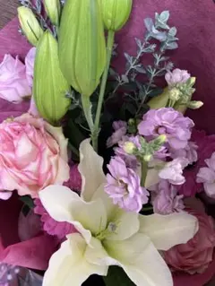 2025年最新】ヒノキ肌粧品の人気アイテム - メルカリ