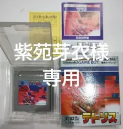 貴重！ゲームボーイ テトリス 箱説明書完備 任天堂