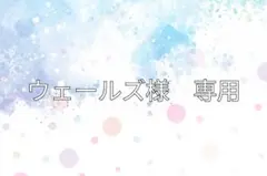 ウェールズ様　専用出品