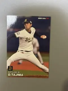 2023 カルビー 田嶋大樹 バファローズ 29