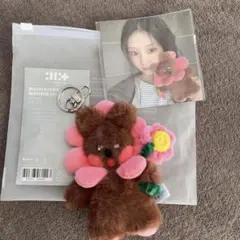 ILLIT Debut Anniversary ぬいぐるみ トレカ ウォンヒ ILLIT Debut Anniversary ぬいぐるみ トレカ ウォンヒ - メルカリ