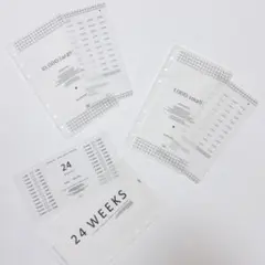 Item thumbnail for item 12f03e25-8b66-4742-b2d7-a3c1178fcded