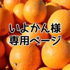 【いよかん様専用ページ】 訳あり 清見オレンジ 9kg サイズ混合
