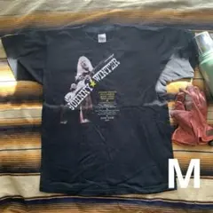 Item thumbnail for item 1e88ed33-ad48-469d-95f0-49da169e85a1