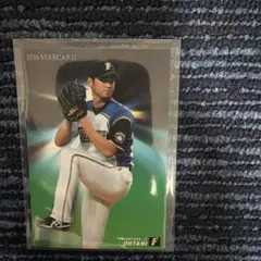 ノース様専用です