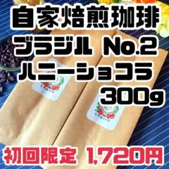 【初回限定割引】自家焙煎珈琲豆300g（ブラジル）