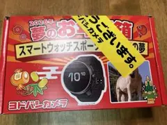 新品未開封】ヨドバシ カメラ 2026年夢のお年玉箱 サウンドバーの夢
