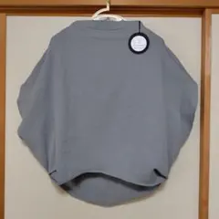 Item thumbnail for item 0e09f786-078f-4671-a677-e40c64ff66a5