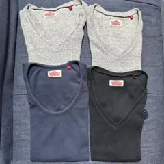 【新人ミニマニスト様専用】ハリウッドランチマーケット 4枚セット