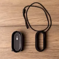 Item thumbnail for item 52f4f545-9248-46d5-9a7b-66b7ae0a9c5a