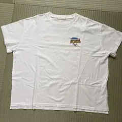 Ray Cassin ホワイト Tシャツ