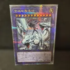 遊戯王　究極竜魔導師（マスター・オブ・ドラゴンマギア） 25th　クオシク