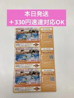 東京サマーランドフリーパス3枚nkp - メルカリ