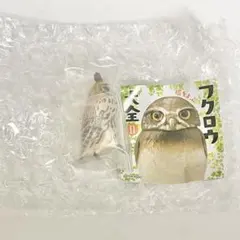 【新品未開封】 フクロウ 大全Ⅱ ウサギフクロウ