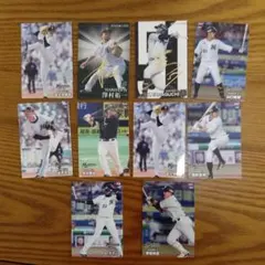 Item thumbnail for item 72302b9f-b4ab-4970-acfc-b1a02483e856