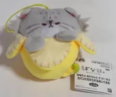 Item thumbnail for item e023a43c-b426-4915-a6ac-04833362948d