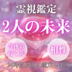 【初回限定価格】2人の未来/霊視鑑定/復縁/結婚/片思い/ツインレイ/縁結び