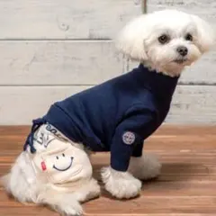 Item thumbnail for item 6eef891d-81ed-42a8-87c1-9649a28a4c7c