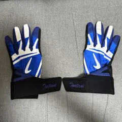 Item thumbnail for item 11b2f210-bcb2-4711-8313-fe91cee9365e